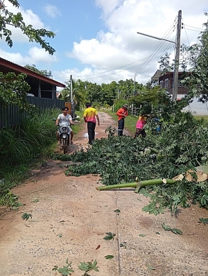 ออกปฏิบัติงานตัดต้นไม้ปิดกั้นขวางถนน หมู่ 9 บ้านทุ่งศรีเมือง ตำบลนาเรือง อำเภอนาเยีย จังหวัดอุบลราชธานี