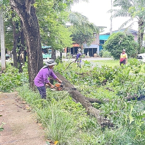 ตัดกิ่งไม้ที่ยื่นล้ำสายไฟ และบดบังถนน หมู่ 7 บ้านนาเรืองน้อย ตำบลนาเรือง  อำเภอนาเยีย จังหวัดอุบลราชธานี