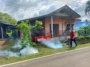 พ่นหมอกควันกำจัดแหล่งเพาะพันธุ์ยุงลายพื้นที่เฝ้าระวังโรคไข้เลือดออก